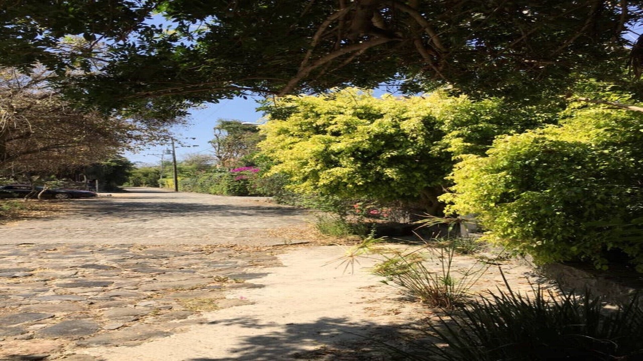Photo of Outdoor in Jiutepec