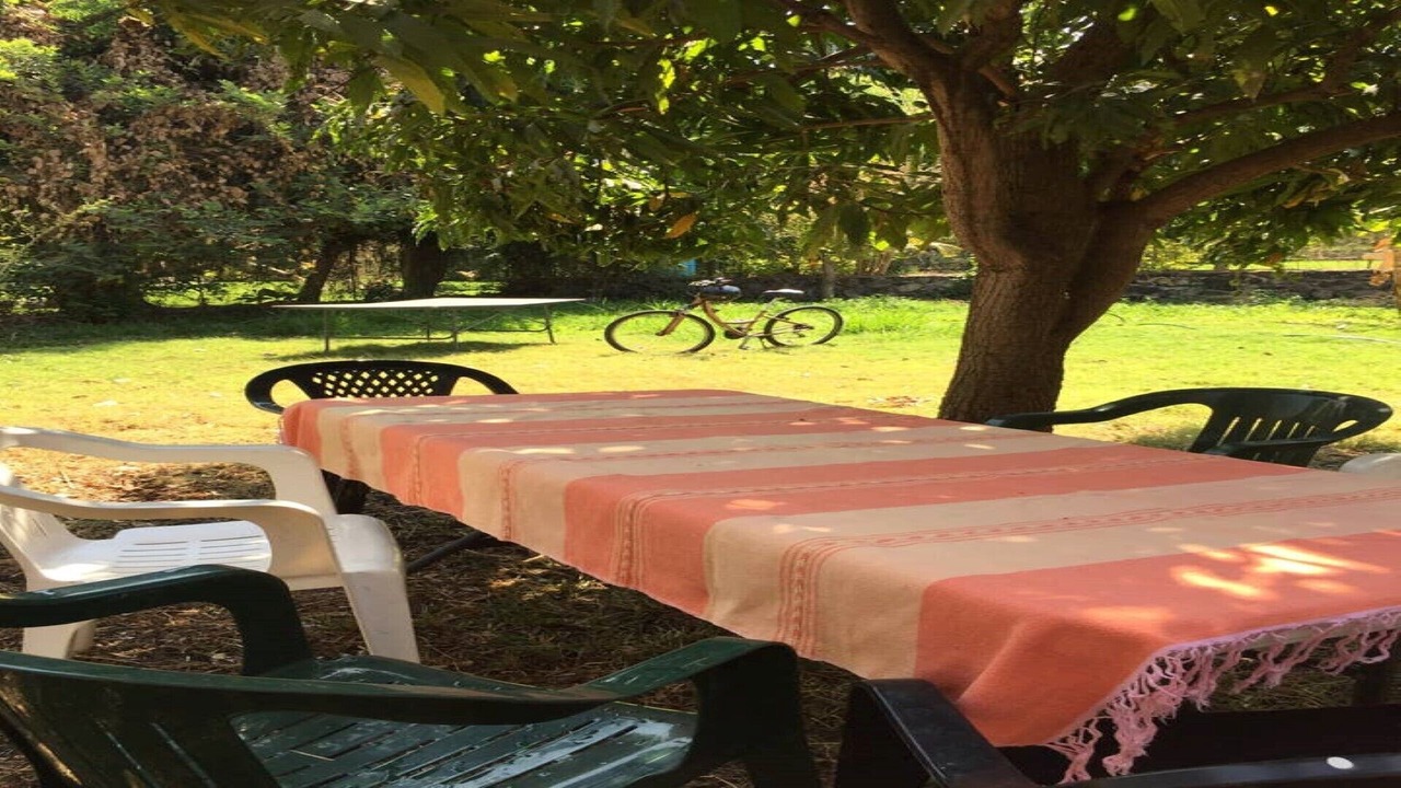 Photo of Outdoor in Jiutepec