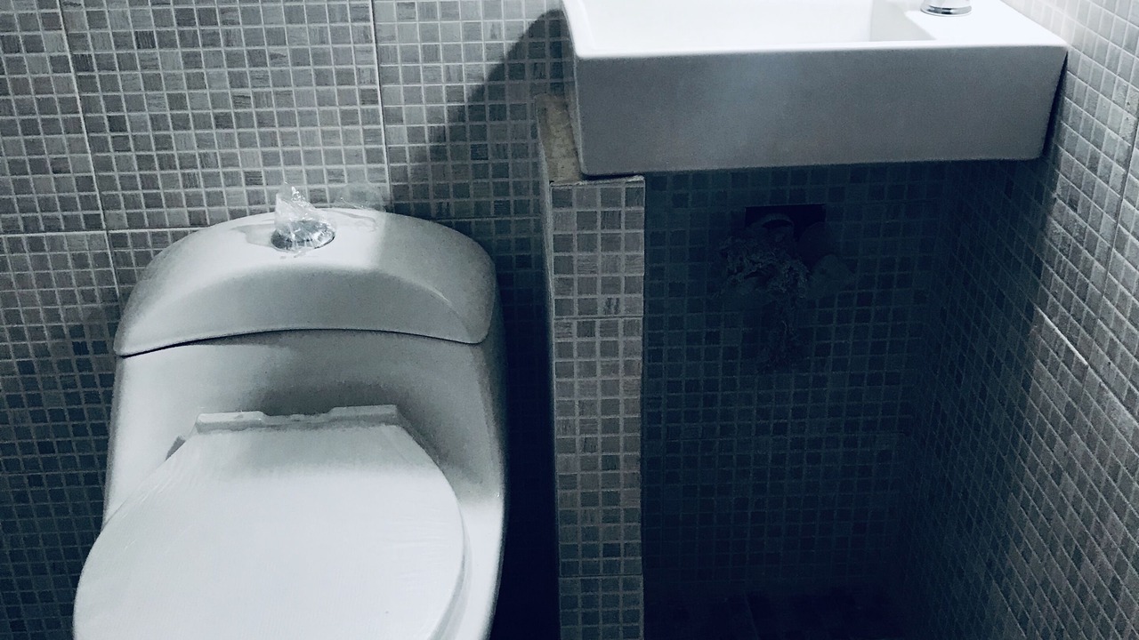 Photo of Bathroom in Tampico