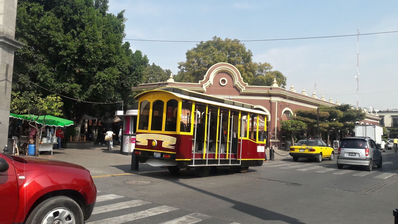 Photo of Others in Guadalajara