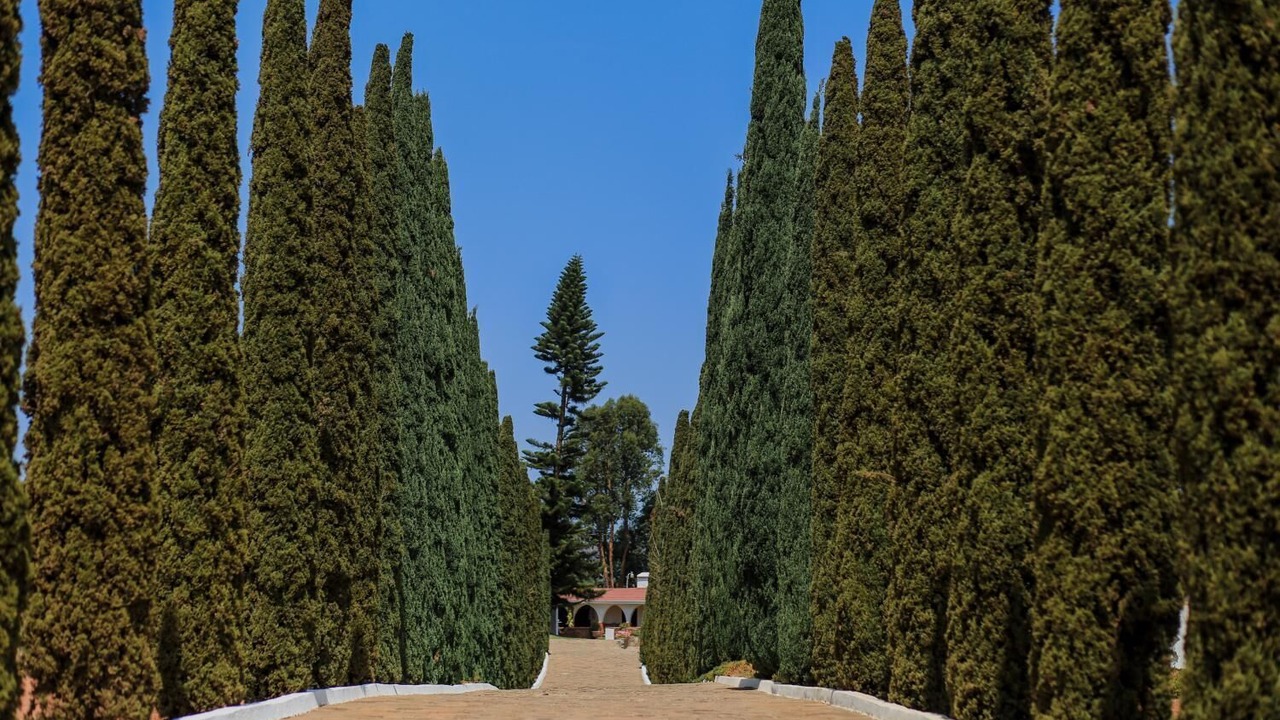 Photo of Outdoor in San Antonio de las Minas