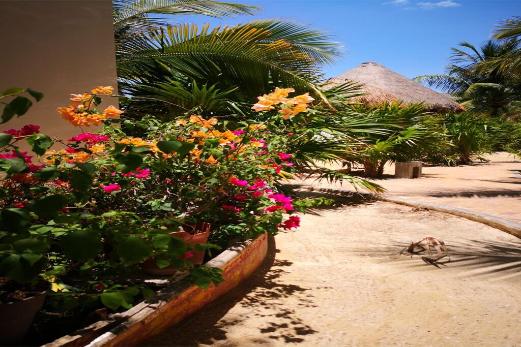 Photo of Outdoor in Progreso Municipality