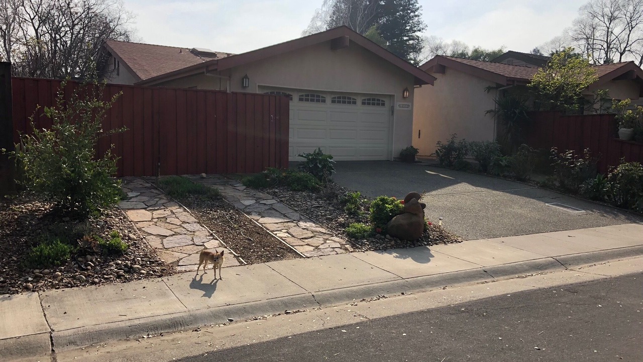 Photo of Others in Davis