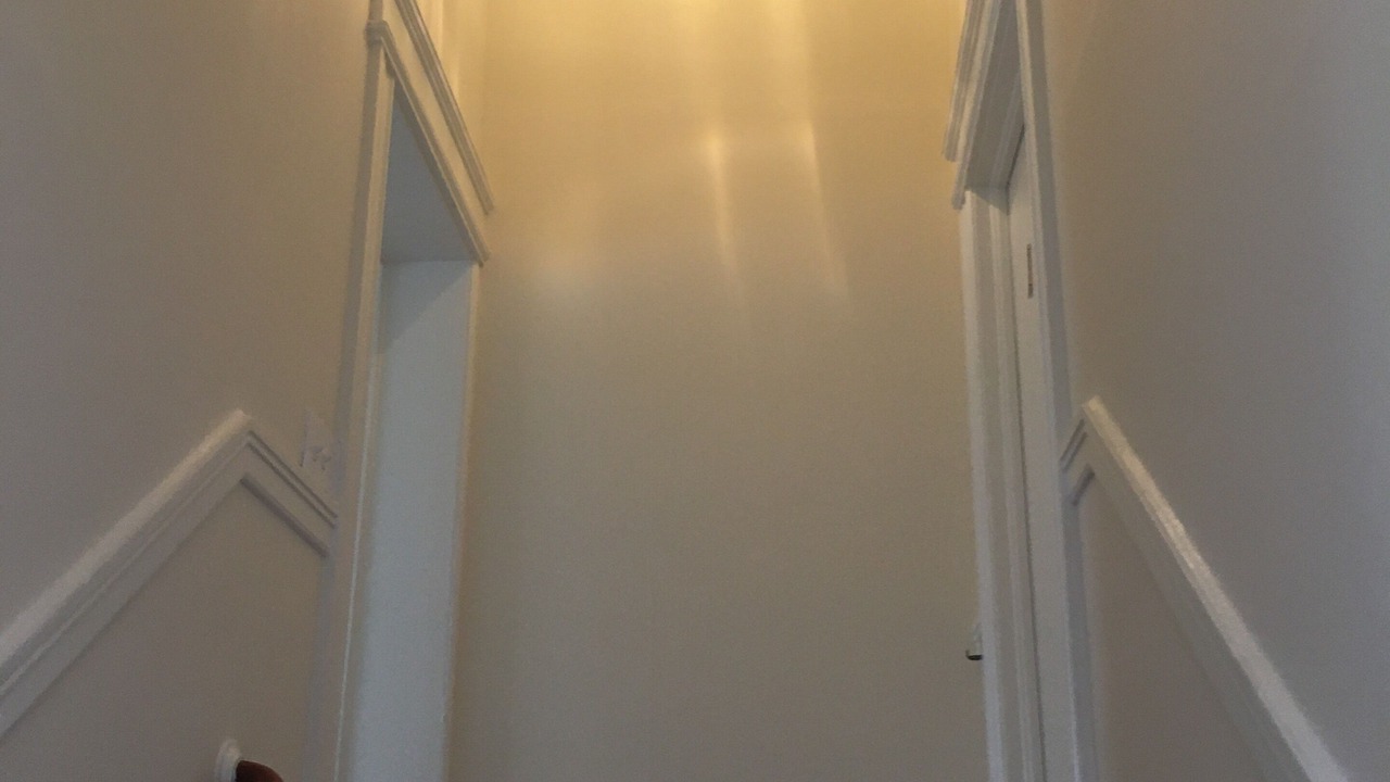 Photo of Others in Pacific Heights