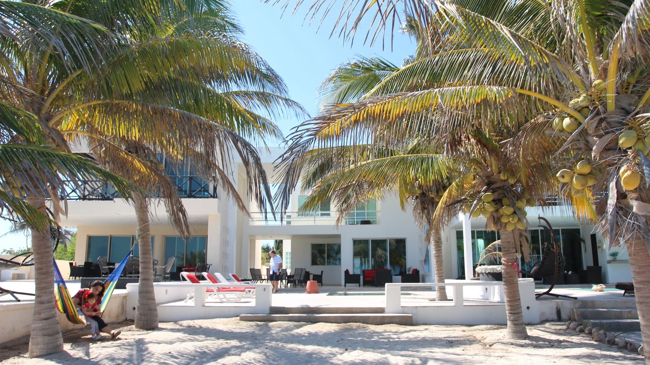 Photo of Others in Chicxulub Puerto