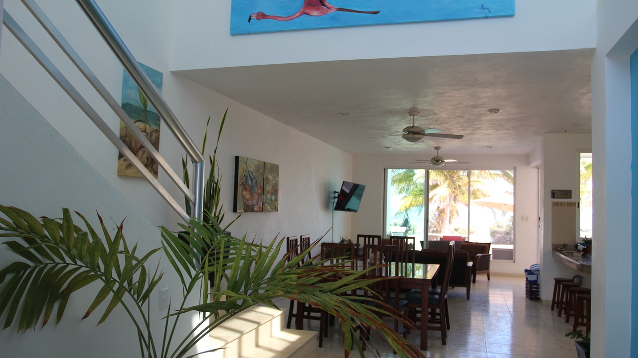 Photo of Others in Chicxulub Puerto