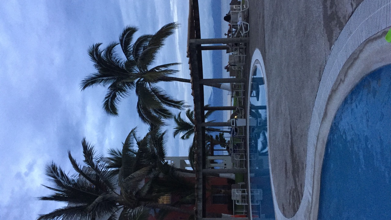 Photo of Outdoor in Flamingos