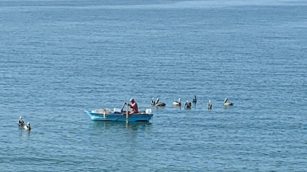 Photo of Others in Bucerias