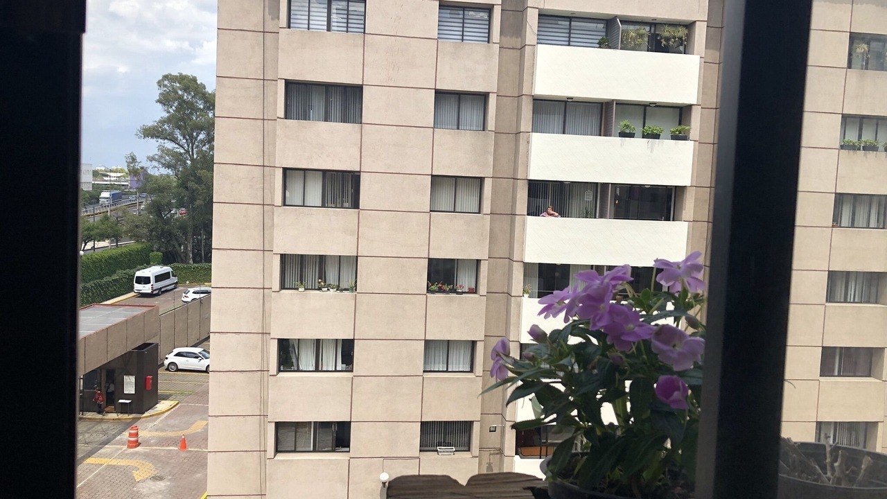 Photo of Outdoor in Coyoacan