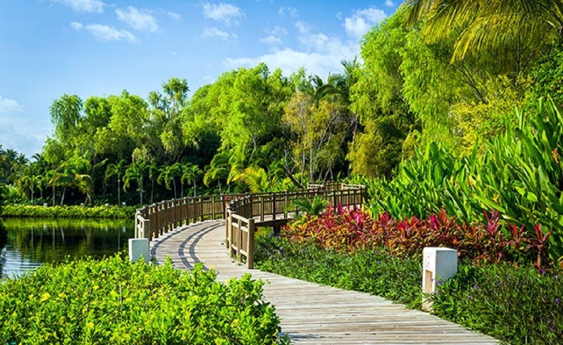 Photo of Outdoor in Nuevo Vallarta