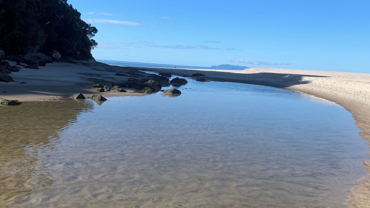 Photo of Others in Whiritoa