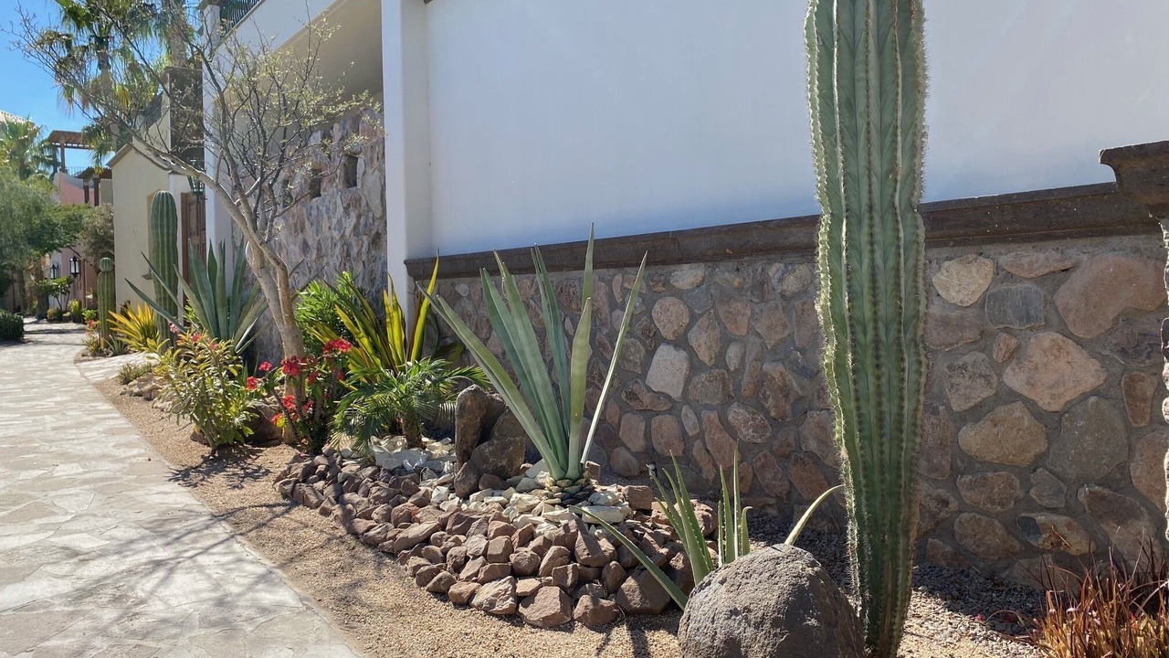 Photo of Outdoor in Nopolo