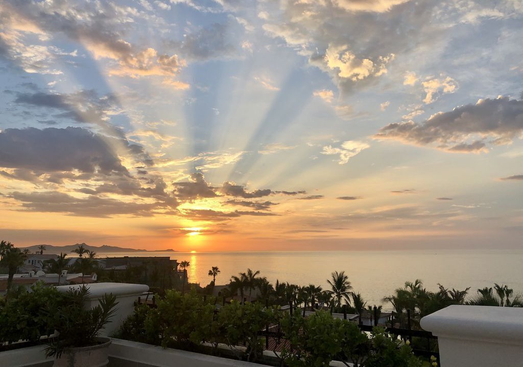 Photo of Others in San Jose del Cabo