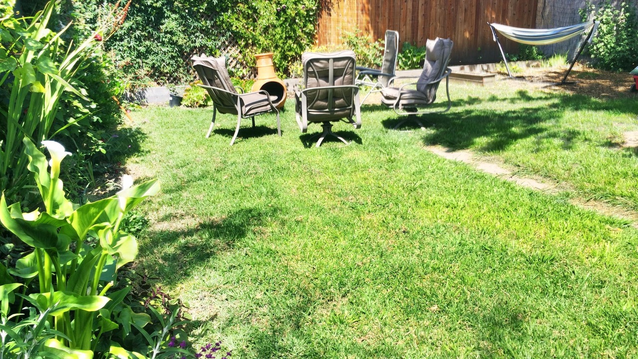Photo of Outdoor in South Berkeley