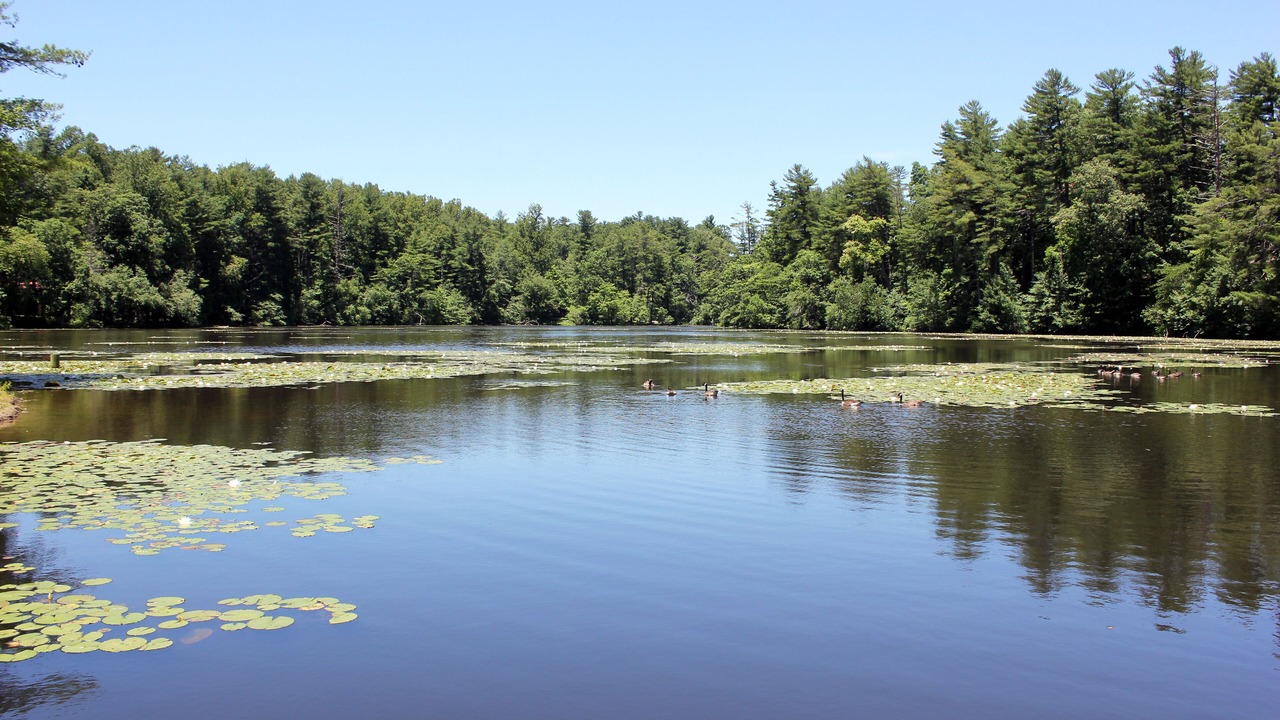 Photo of Outdoor in Flat Rock