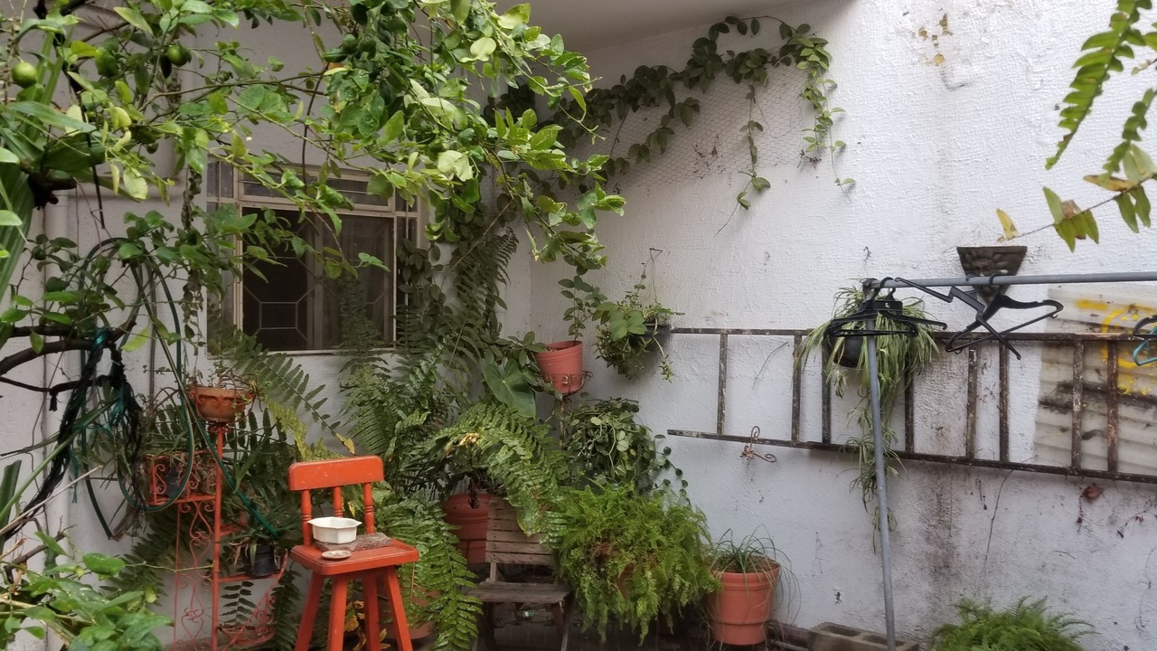 Photo of Outdoor in Guadalajara Municipality