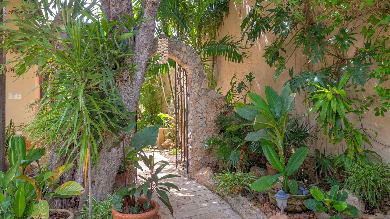 Photo of Outdoor in Centro