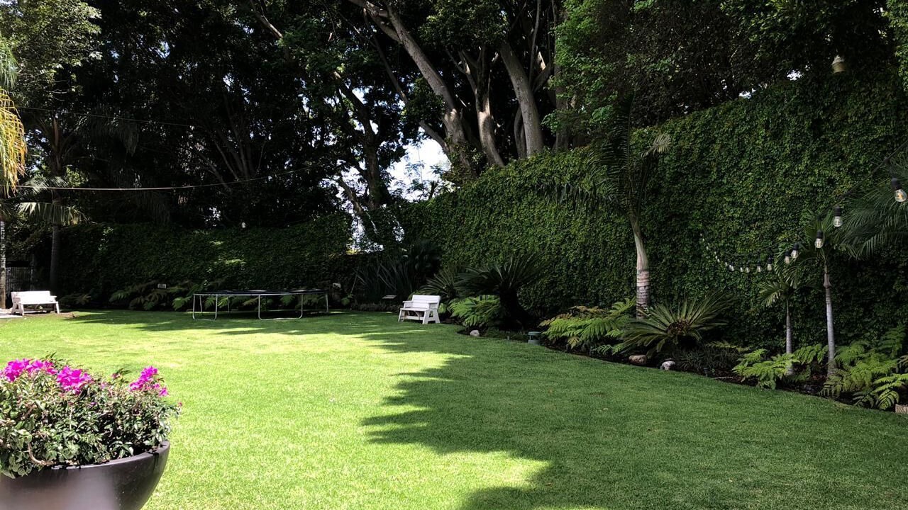 Photo of Outdoor in Los Limoneros