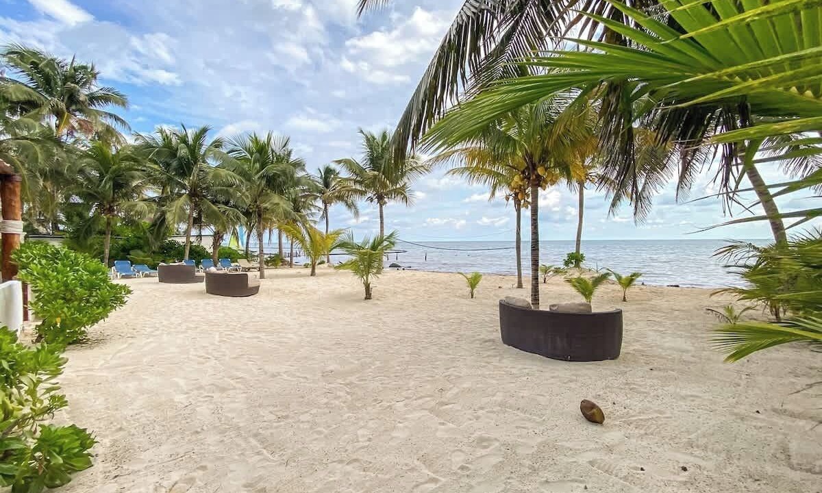 Photo of Others in Puerto Morelos