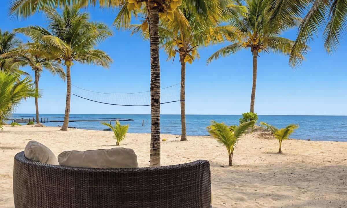 Photo of Others in Puerto Morelos