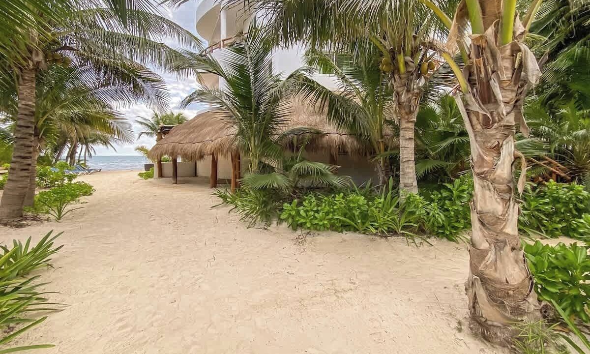Photo of Others in Puerto Morelos