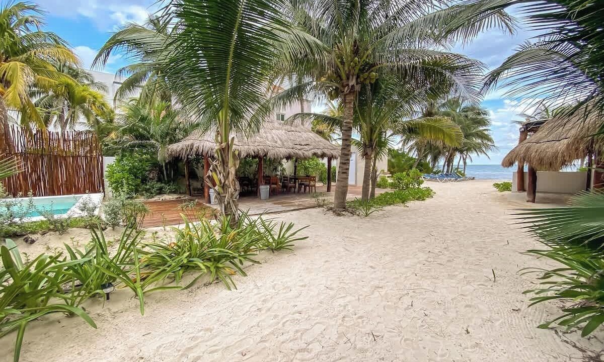 Photo of Others in Puerto Morelos
