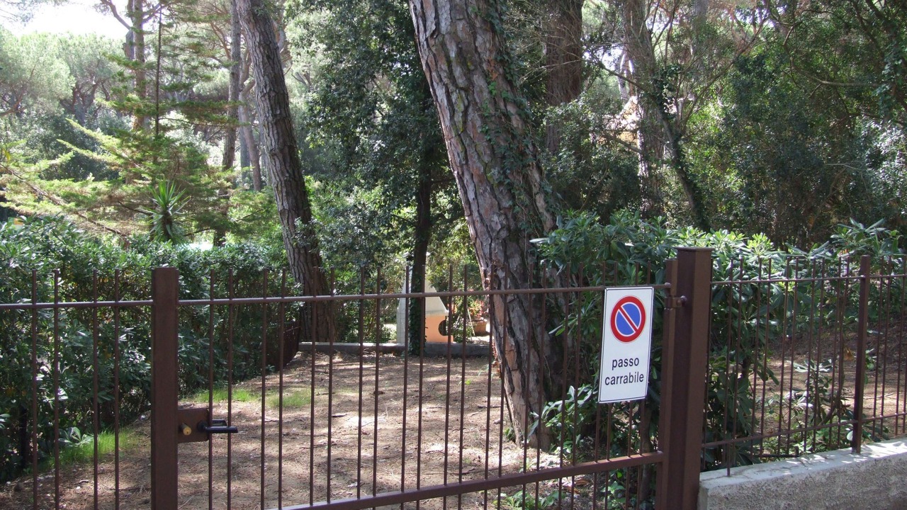 Photo of Others in Marina di Castagneto Carducci