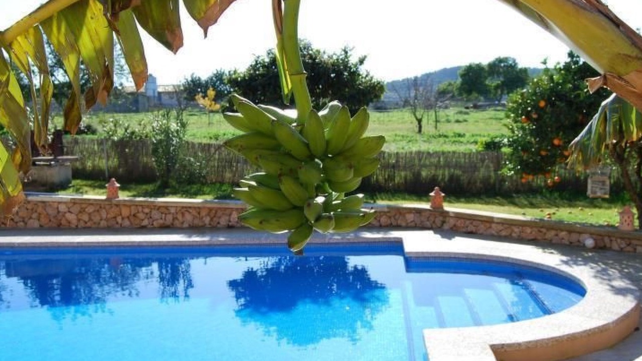 Photo of Outdoor in Cas Concos