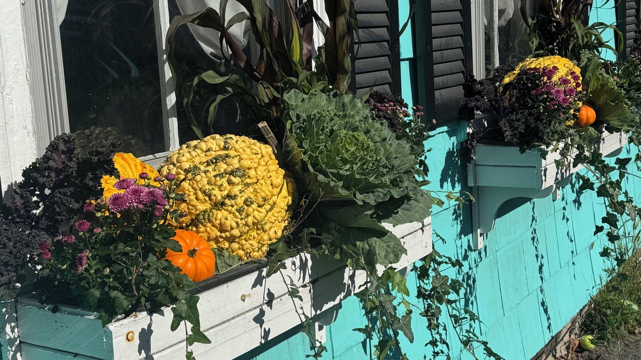 Photo of Outdoor in Marblehead