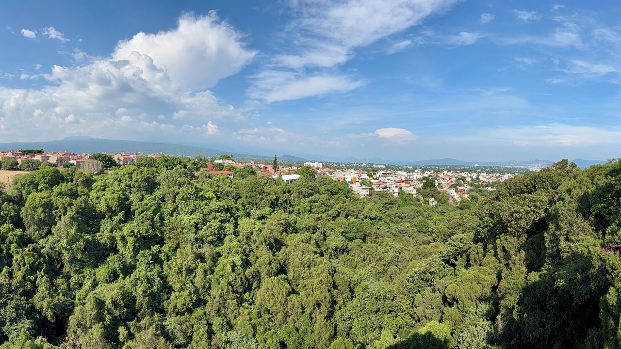 Photo of Others in Cuernavaca