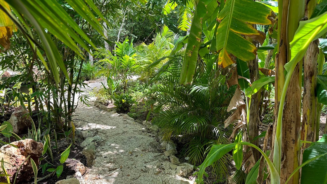 Photo of Outdoor in Yucatan Peninsula
