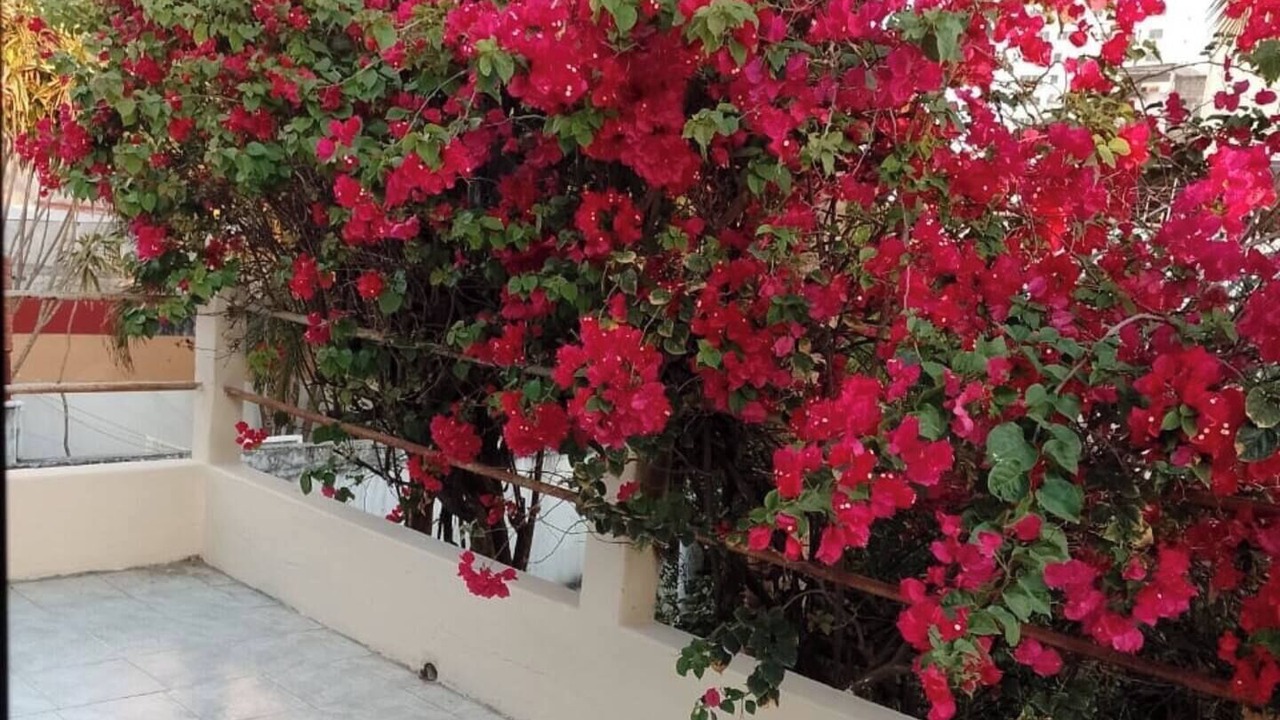 Photo of Outdoor in Boca del Rio