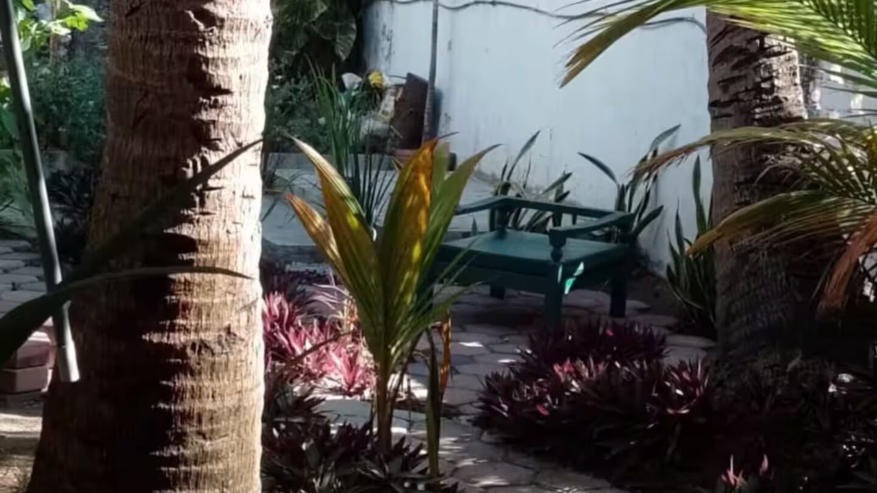 Photo of Outdoor in Boca del Rio