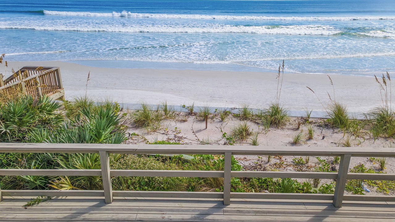 Photo of Others in Sea Dunes