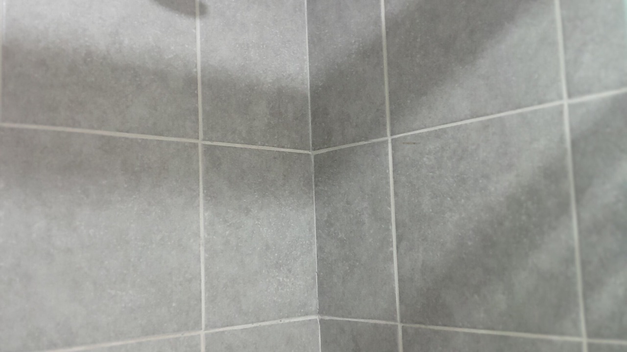 Photo of Bathroom in Doctores