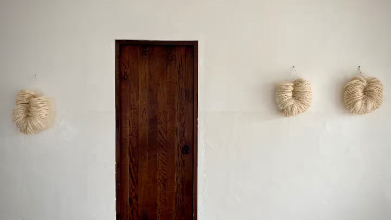 Photo of Others in Chuburna Puerto
