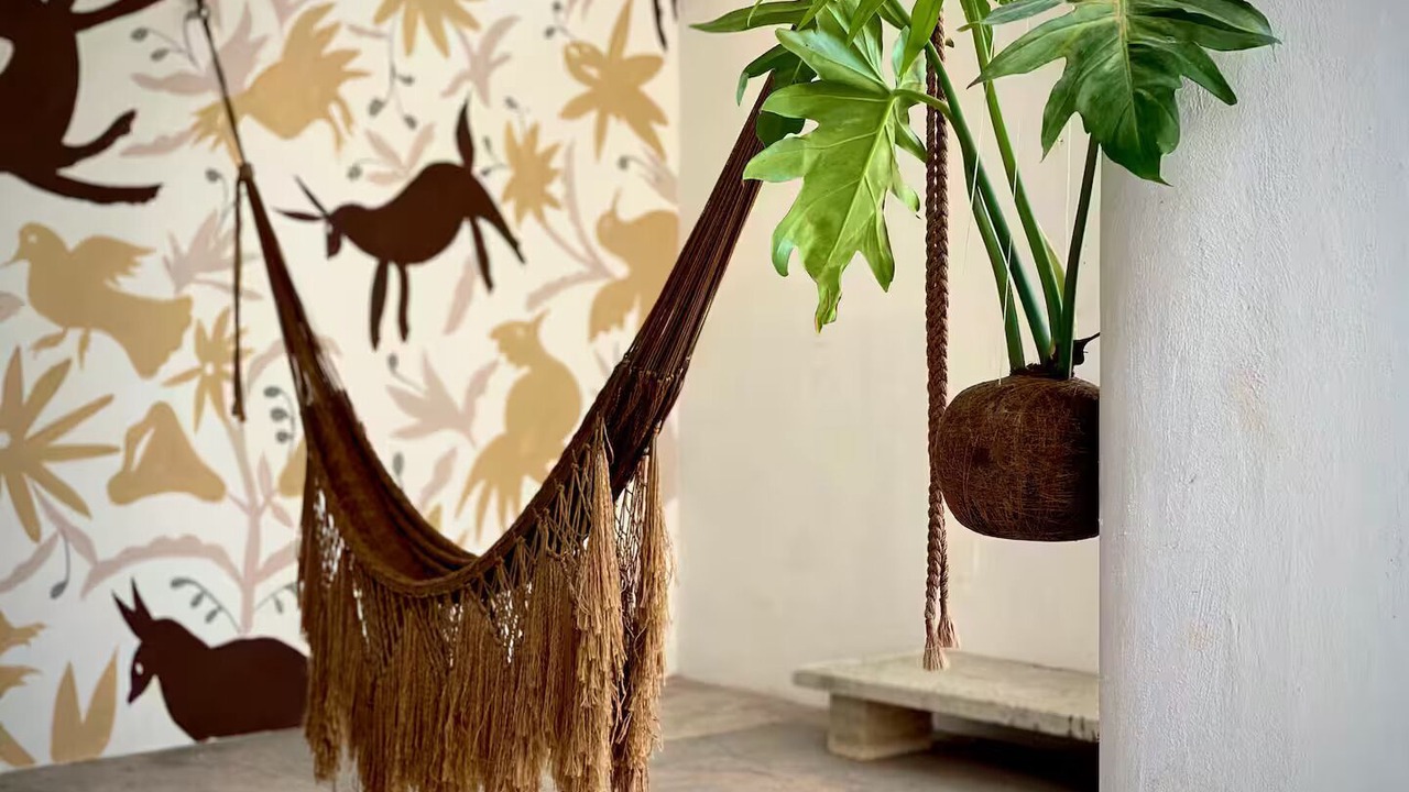Photo of Outdoor in Chuburna Puerto