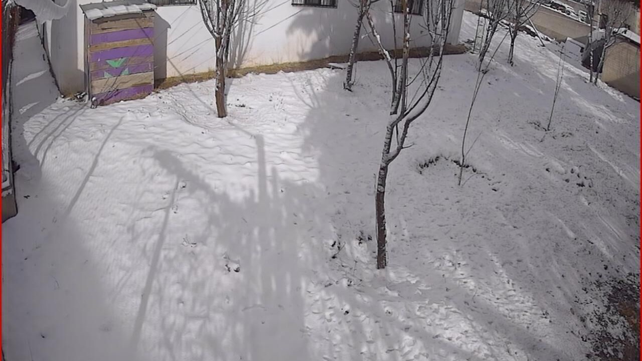 Photo of Outdoor in Creel