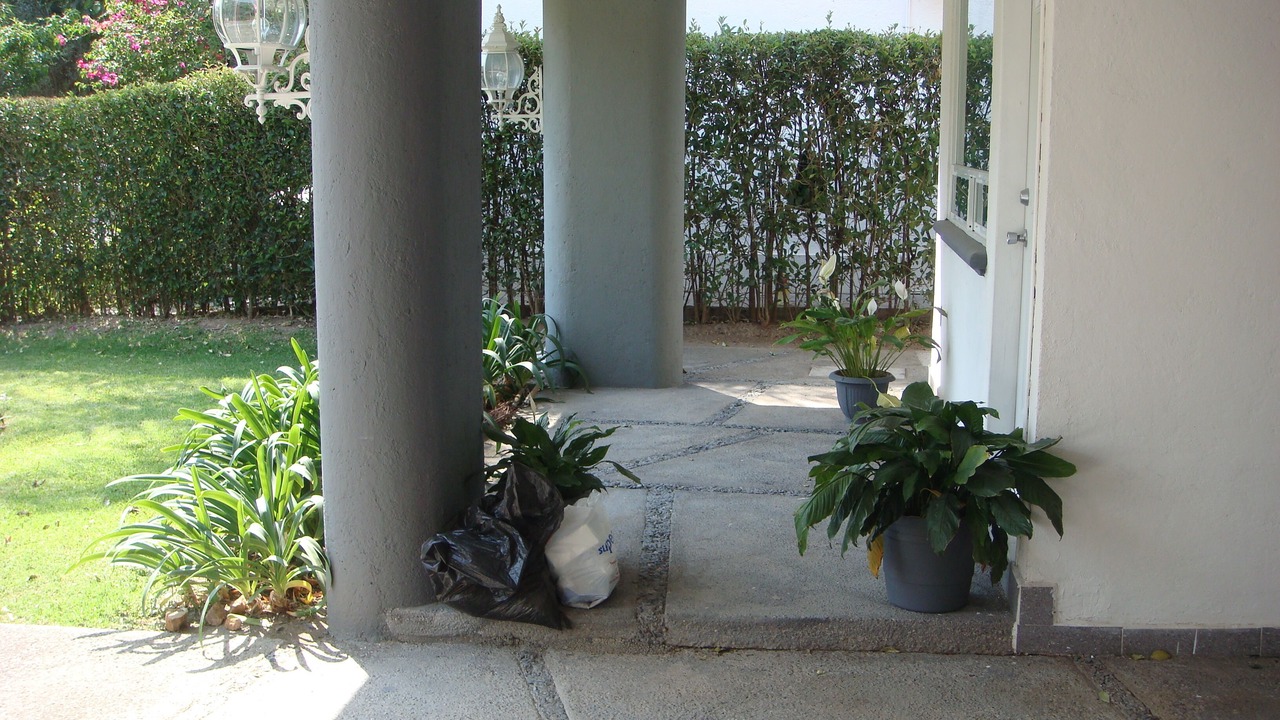 Photo of Outdoor in San Juan del Rio