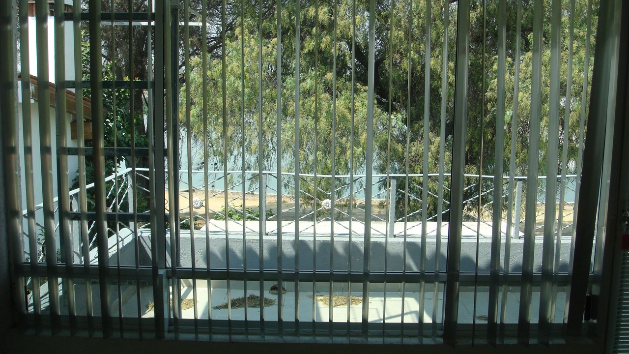 Photo of Others in San Juan del Rio