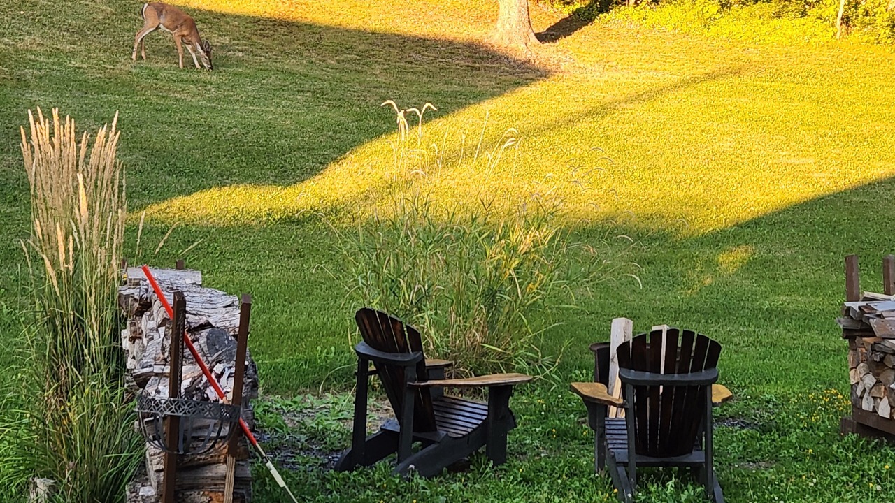 Photo of Others in Fort Kent Mills