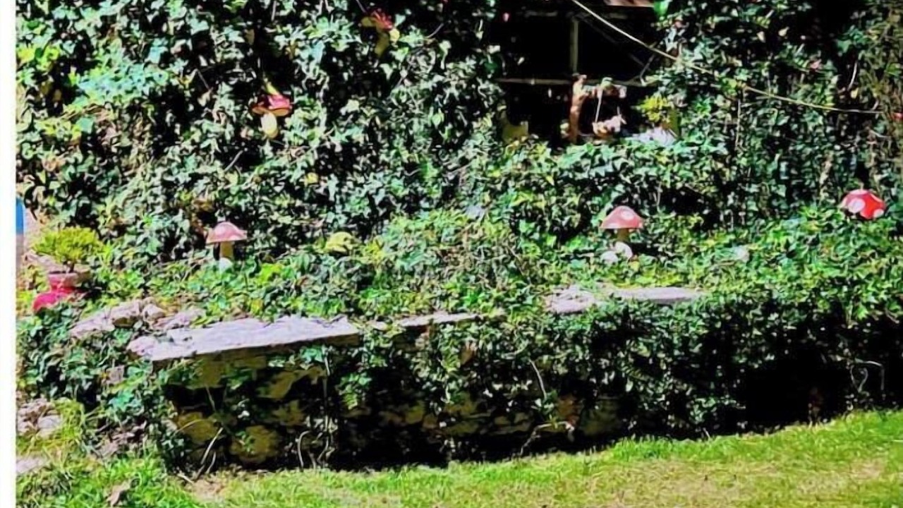 Photo of Outdoor in Huasca De Ocampo