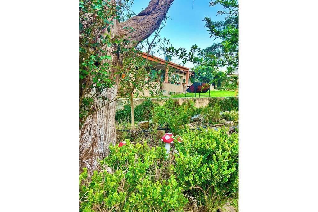 Photo of Outdoor in Huasca De Ocampo