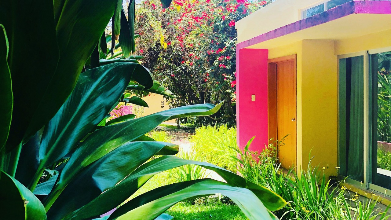 Photo of Outdoor in Comala