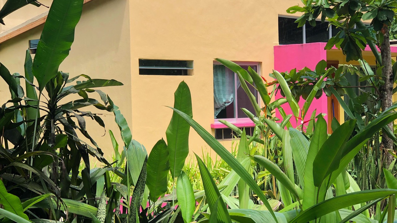 Photo of Outdoor in Comala
