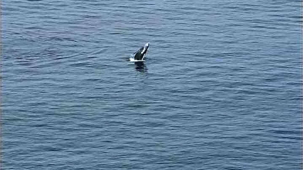 Photo of Others in South Shore Hotel Area
