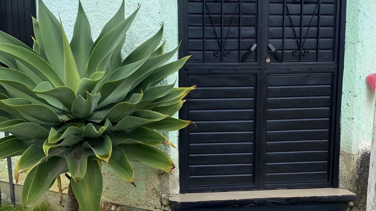 Photo of Outdoor in San Cristobal de las Casas