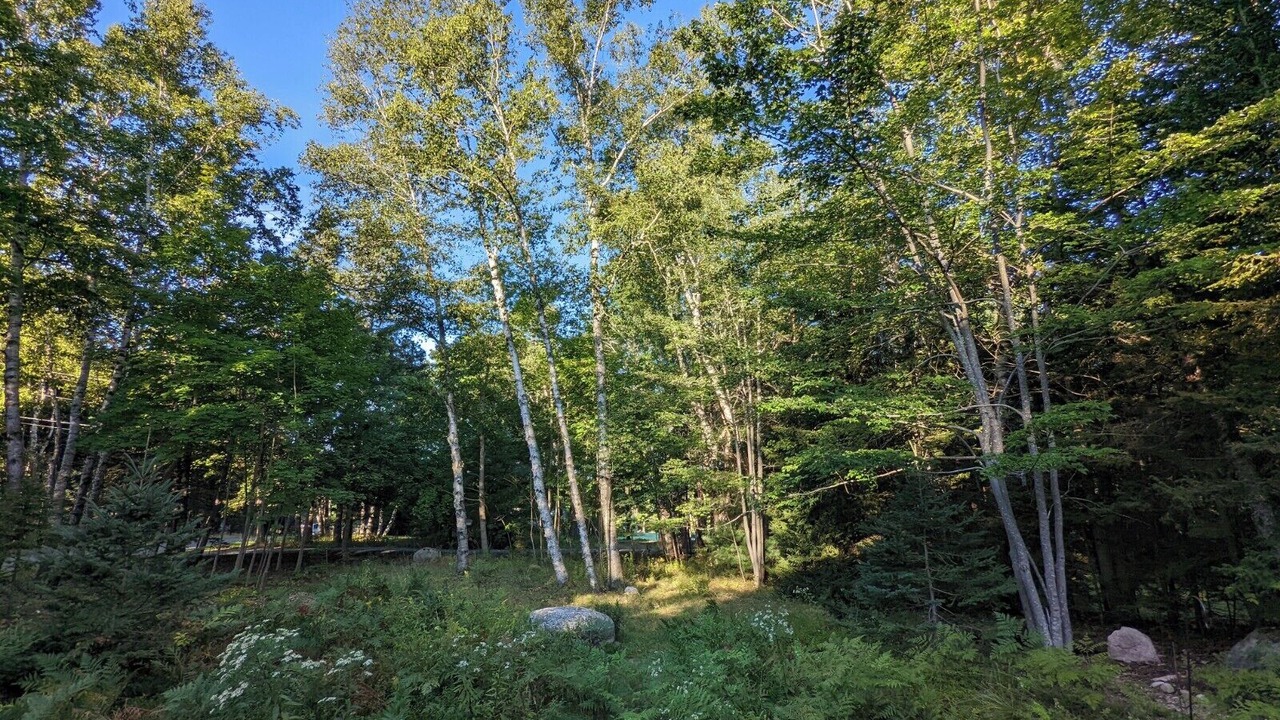 Photo of Others in Northeast Harbor