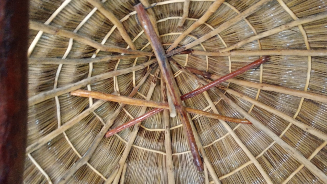 Photo of Others in Yelapa