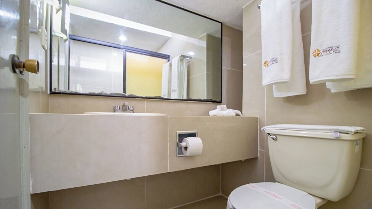 Photo of Bathroom in Merida Municipality